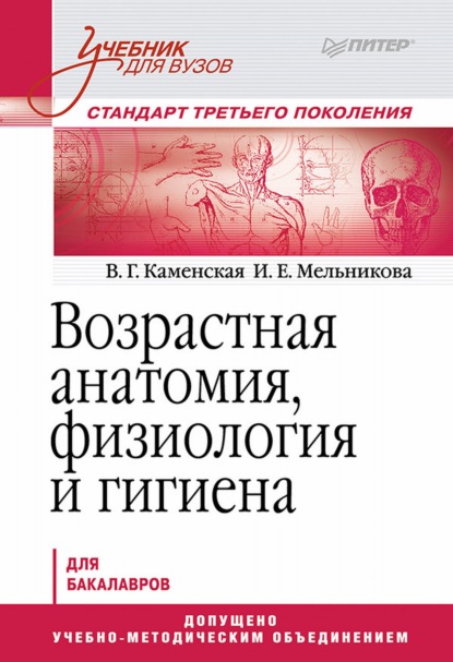 Возрастная анатомия, физиология и гигиена - Валентина Георгиевна Каменская