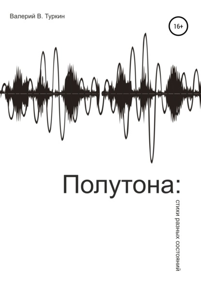 Полутона: стихи разных состояний - Валерий Владимирович Туркин