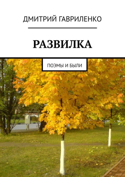 Развилка. Поэмы и были - Дмитрий Гавриленко