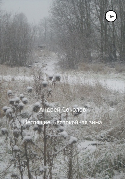 Неспящие. Беспокойная зима - Андрей Николаевич Соколов