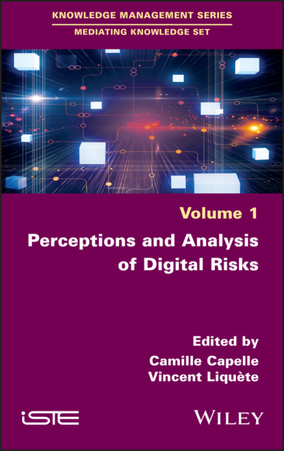 Perceptions and Analysis of Digital Risks - Группа авторов