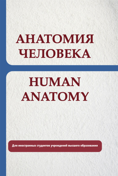 Анатомия человека. Human anatomy - Е. С. Околокулак