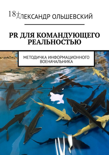 PR для командующего реальностью. Методичка информационного военачальника - Александр Сергеевич Ольшевский