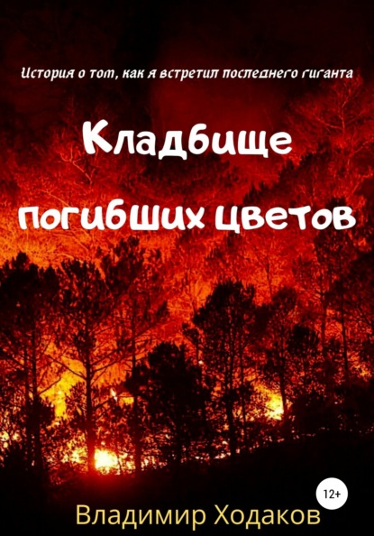 Кладбище погибших цветов - Владимир Ходаков