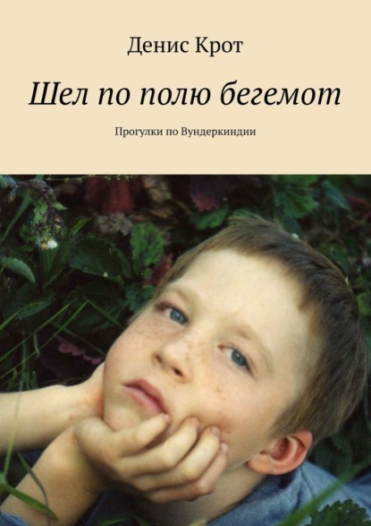 Шел по полю бегемот. Прогулки по Вундеркиндии - Денис Крот