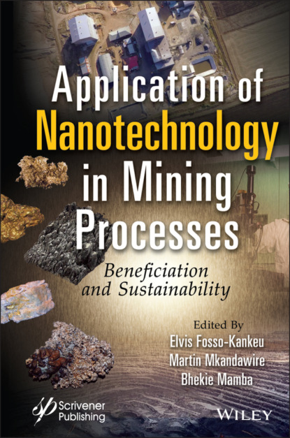 Application of Nanotechnology in Mining Processes - Группа авторов