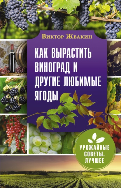 Как вырастить виноград и другие любимые ягоды — Виктор Жвакин