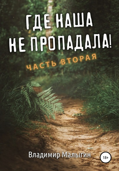 Где наша не пропадала. Часть вторая - Владимир Владиславович Малыгин