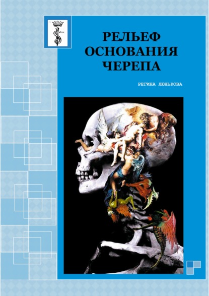 Рельеф основания черепа - Регина Люнькова