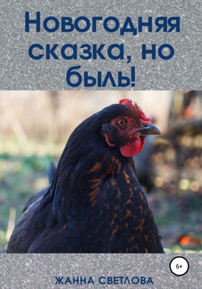 Новогодняя сказка, но быль! — Жанна Светлова