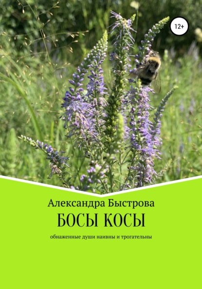 БОСЫ КОСЫ. Маленькие эпизоды большого пути — Александра Быстрова