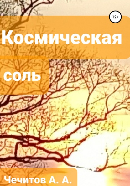 Космическая соль — Александр Александрович Чечитов