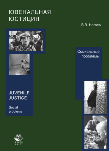 Ювенальная юстиция. Социальные проблемы - В. В. Нагаев