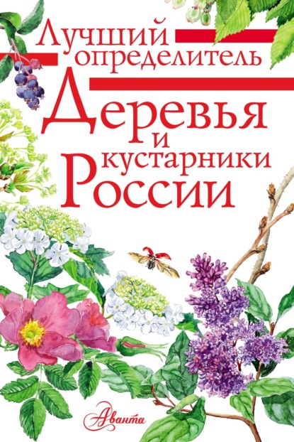 Деревья и кустарники России. Определитель — Ирина Пескова