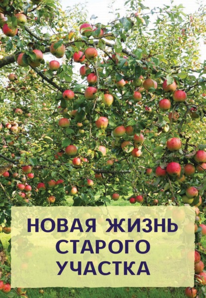 Новая жизнь старого участка - Николай Хромов