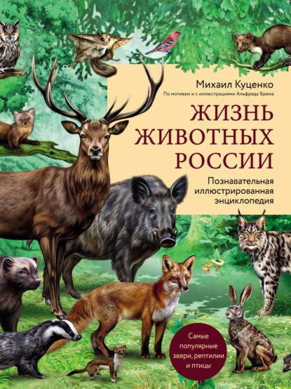 Жизнь животных России. Познавательная иллюстрированная энциклопедия — Михаил Куценко