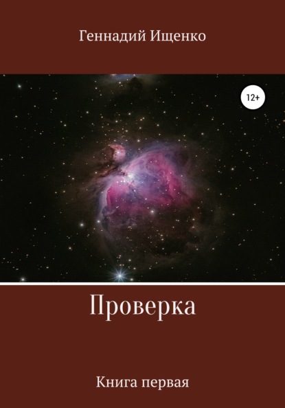 Проверка. Книга первая - Геннадий Владимирович Ищенко