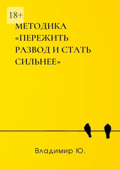 Методика «Пережить развод и стать сильнее» - Владимир Ю.