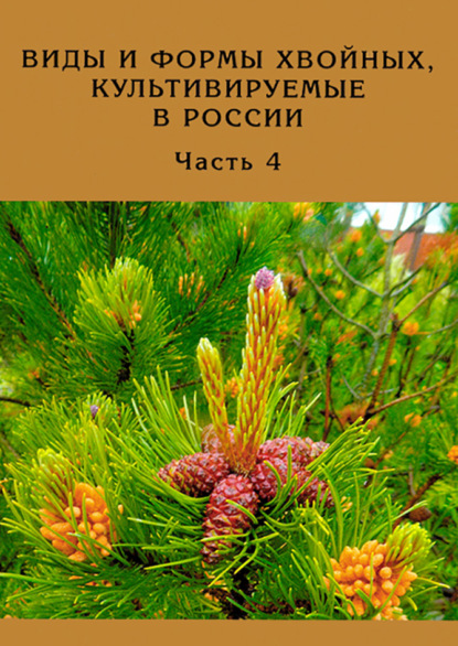 Виды и формы хвойных, культивируемые в России. Часть 4 - Д. Л. Матюхин