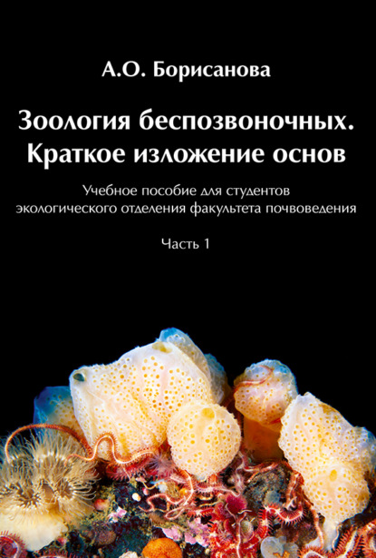 Зоология беспозвоночных. Краткое изложение основ - Анастасия Олеговна Борисанова