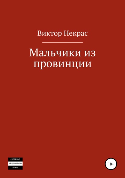 Мальчики из провинции - Виктор Некрас