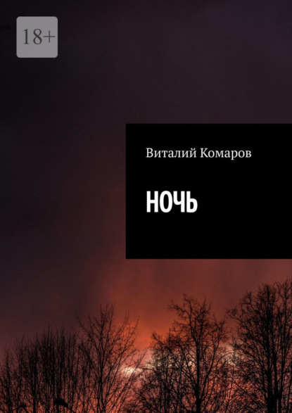 НОЧЬ — Виталий Комаров