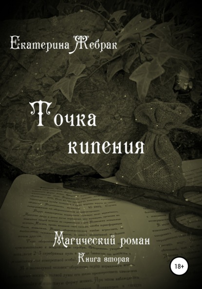 Точка кипения. Магический роман — Екатерина Жебрак