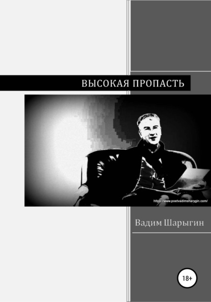 Высокая пропасть - Вадим Юрьевич Шарыгин