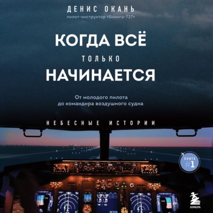 Когда всё только начинается. От молодого пилота до командира воздушного судна - Денис Окань