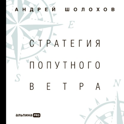 Стратегия попутного ветра. Как обнаружить или создать асимметрии, способные придать бизнесу ускорение - Андрей Шолохов