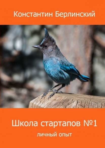 Школа стартапов №1: Личный опыт. 2-ое издание с иллюстрациями - Константин Константинович Берлинский