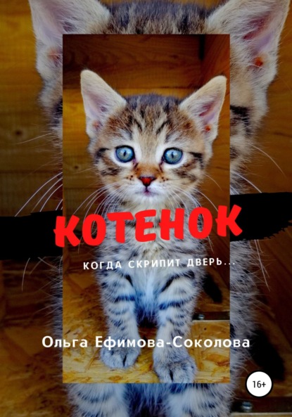 Котенок — Ольга Ефимова-Соколова