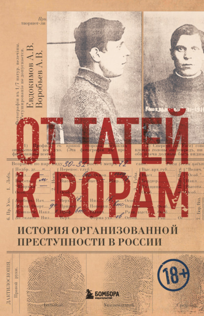 От татей к ворам. История организованной преступности в России — Александр Воробьев