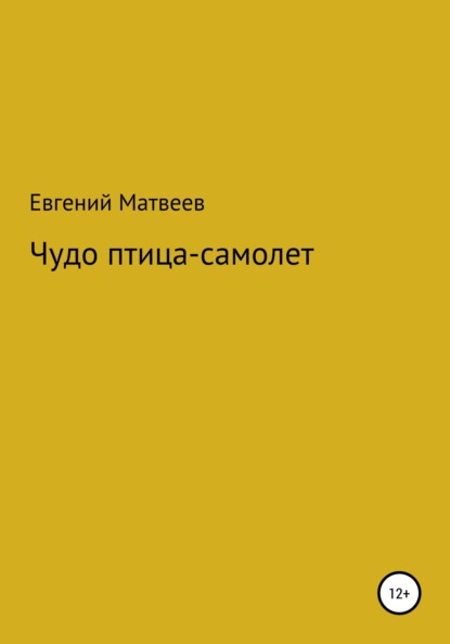 Чудо птица-самолет — Евгений Матвеев