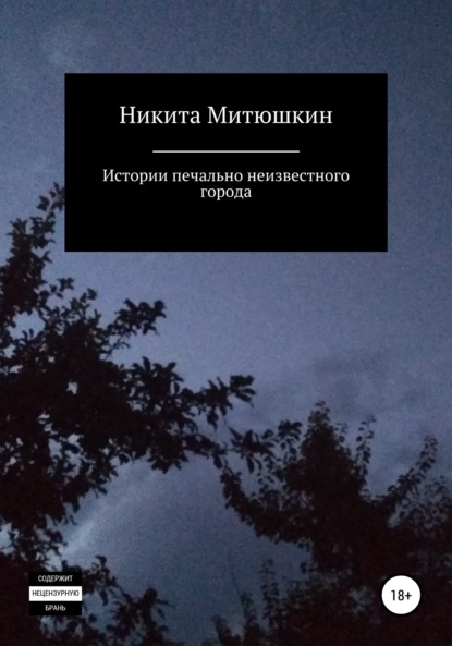 Истории печально неизвестного города - Никита Митюшкин