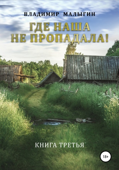 Где наша не пропадала – 3 - Владимир Владиславович Малыгин