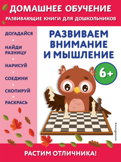 Развиваем внимание и мышление. Для детей от 6 лет - Беркай Динч