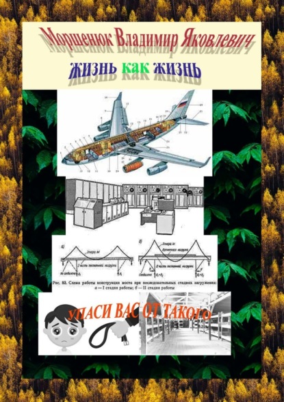 Жизнь как жизнь. Упаси других от такого — Владимир Яковлевич Моршенюк