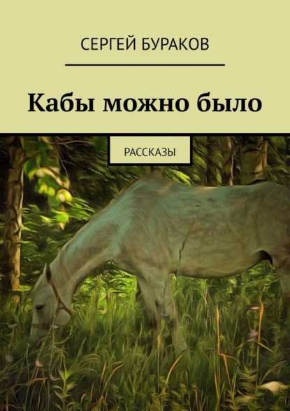 Кабы можно было. Рассказы - Сергей Бураков