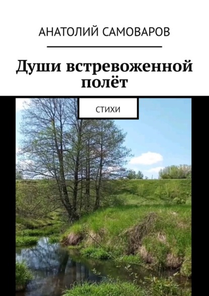 Души встревоженной полёт. Стихи - Анатолий Николаевич Самоваров