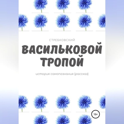 Васильковой тропой - Стребковский