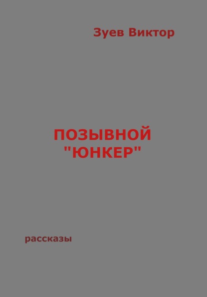 Позывной «Юнкер» - Виктор Иванович Зуев