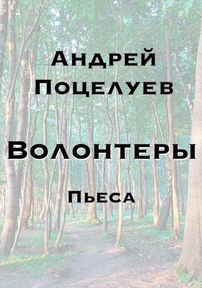 Волонтеры - Андрей Владимирович Поцелуев