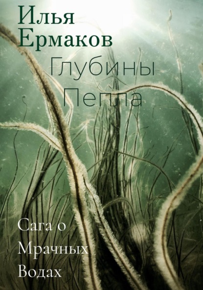 Сага о Мрачных Водах. Глубины Пепла - Илья Сергеевич Ермаков