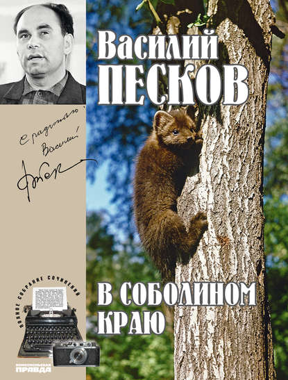 Полное собрание сочинений. Том 1. В соболином краю - Василий Песков