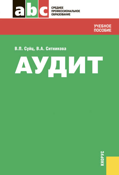 Аудит - Виктор Паулевич Суйц