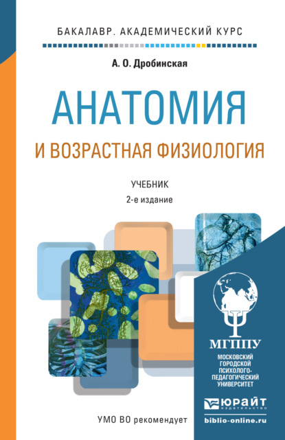 Анатомия и возрастная физиология 2-е изд., пер. и доп. Учебник для академического бакалавриата — Анна Олеговна Дробинская