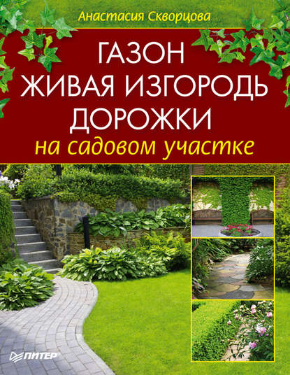 Газон, живая изгородь, дорожки на садовом участке - Анастасия Скворцова