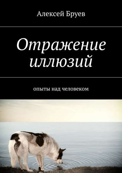 Отражение иллюзий - Алексей Бруев