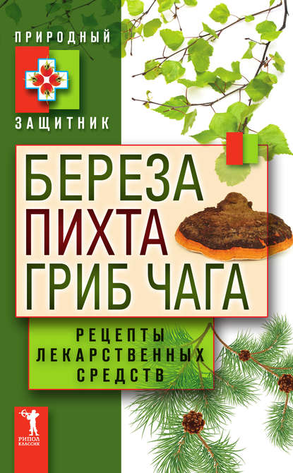 Береза, пихта, гриб чага. Рецепты лекарственных средств - Группа авторов